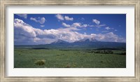 Meadow with mountains in the background, Cuchara River Valley, Huerfano County, Colorado, USA Fine Art Print