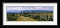 Farmhouses in a field, Gudbrandsdalen, Oppland, Norway Fine Art Print