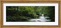 River flowing in the forest, Aberfeldy, Perthshire, Scotland Fine Art Print