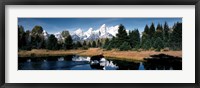 Moose & Beaver Pond Grand Teton National Park WY USA Fine Art Print
