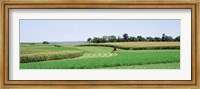 Harvesting, Farm, Frederick County, Maryland, USA Fine Art Print