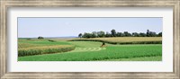 Harvesting, Farm, Frederick County, Maryland, USA Fine Art Print