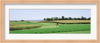 Harvesting, Farm, Frederick County, Maryland, USA Fine Art Print
