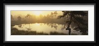 Reflection of trees in a lake, Vastmanland, Sweden Fine Art Print