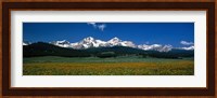 Sawtooth Mtns Range Stanley ID USA Fine Art Print