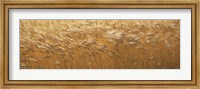 Spring Wheat Fine Art Print