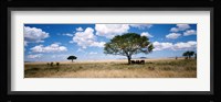 Elephants, Kenya, Africa Fine Art Print