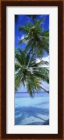 Maldives Palm Trees Fine Art Print