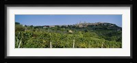 Low Angle View Of A Vineyard, San Gimignano, Tuscany, Italy Fine Art Print