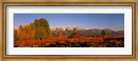 Landscape in Grand Teton National Park WY Fine Art Print