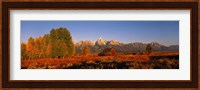 Landscape in Grand Teton National Park WY Fine Art Print