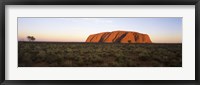 Landscape with sandstone formation at dusk, Uluru, Uluru-Kata Tjuta National Park, Northern Territory, Australia Fine Art Print