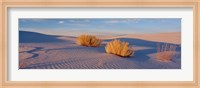USA, New Mexico, White Sands, sunset Fine Art Print