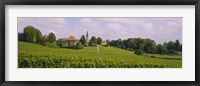WIne country with buildings in the background, Village near Geneva, Switzerland Fine Art Print