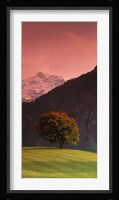 Switzerland, Alps Fine Art Print
