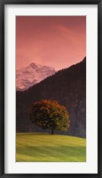 Switzerland, Alps Fine Art Print