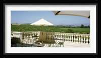 Vineyards Terrace at Winery Napa Valley CA USA Fine Art Print