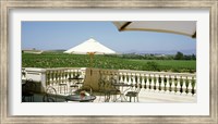 Vineyards Terrace at Winery Napa Valley CA USA Fine Art Print