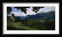 High angle view of a castle, Vaduz, Liechtenstein Fine Art Print