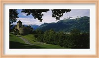 High angle view of a castle, Vaduz, Liechtenstein Fine Art Print
