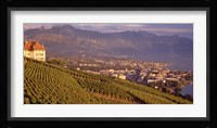 Vineyard at a hillside, Lake Geneva, Vevey, Vaud, Switzerland Fine Art Print