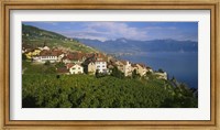 Village Rivaz between Vineyards & Mts. Lake Geneva Switzerland Fine Art Print