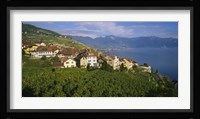 Village Rivaz between Vineyards & Mts. Lake Geneva Switzerland Fine Art Print