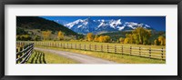 Fence along a road, Sneffels Range, Colorado, USA Fine Art Print