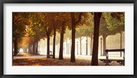 France, Paris, Champs Elysees Fine Art Print