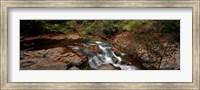 White Water The Great Smoky Mountains TN USA Fine Art Print