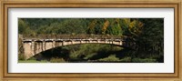 Bridge in a forest, Black Forest, Germany Fine Art Print