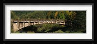 Bridge in a forest, Black Forest, Germany Fine Art Print
