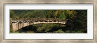 Bridge in a forest, Black Forest, Germany Fine Art Print