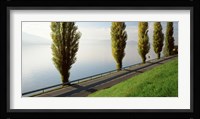 Trees along a lake, Lake Zug, Switzerland Fine Art Print