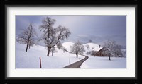 Switzerland, Canton of Zug, Linden trees on a snow covered landscape Fine Art Print