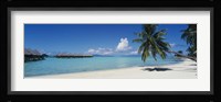 Palm Tree On The Beach, Moana Beach, Bora Bora, Tahiti, French Polynesia Fine Art Print