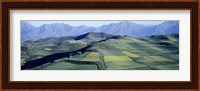 Fields, Farm, Qinghai Province, China Fine Art Print