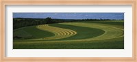 Curving crops in a field, Illinois, USA Fine Art Print