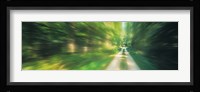 Road, Greenery, Trees, Germany Fine Art Print