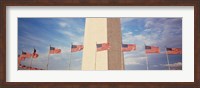 Washington Monument Washington and flags DC Fine Art Print