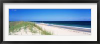 Cape Hatteras National Park, Outer Banks, North Carolina USA Fine Art Print