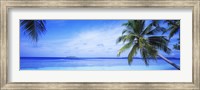 Ocean, Island, Water, Palm Trees, Maldives Fine Art Print