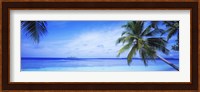 Ocean, Island, Water, Palm Trees, Maldives Fine Art Print