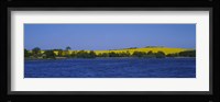 Lake in front of a rape field, Holstein, Schleswig-Holstein, Germany Fine Art Print