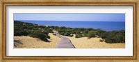 Boardwalk on the beach, Cuesta De Maneli, Donana National Park, Huelva Province, Spain Fine Art Print
