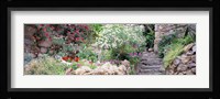 Flowers in a garden, Tossa De Mar, Old town, Costa Brava, Catalonia, Spain Fine Art Print