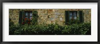 Flowers on a window, Monteriggioni, Tuscany, Italy Fine Art Print