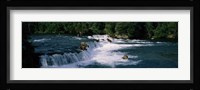 Bears fish Brooks Fall Katmai AK Fine Art Print