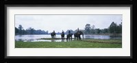 Siem Reap River & Elephants Angkor Vat Cambodia Fine Art Print