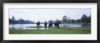 Siem Reap River & Elephants Angkor Vat Cambodia Fine Art Print